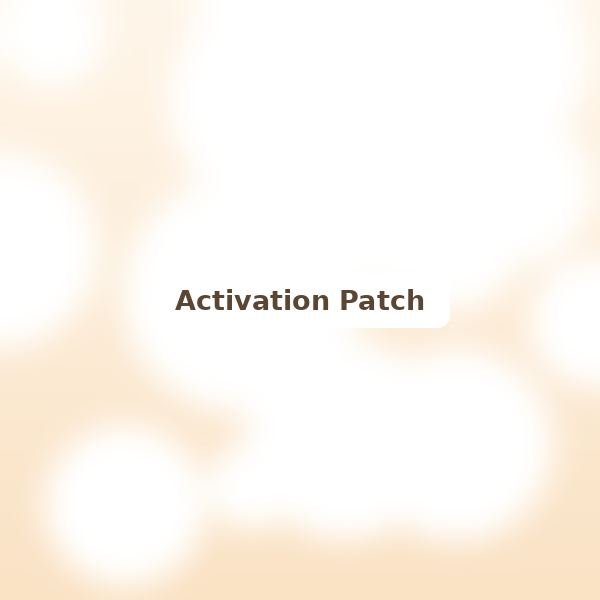 Metabolism Activation Patch